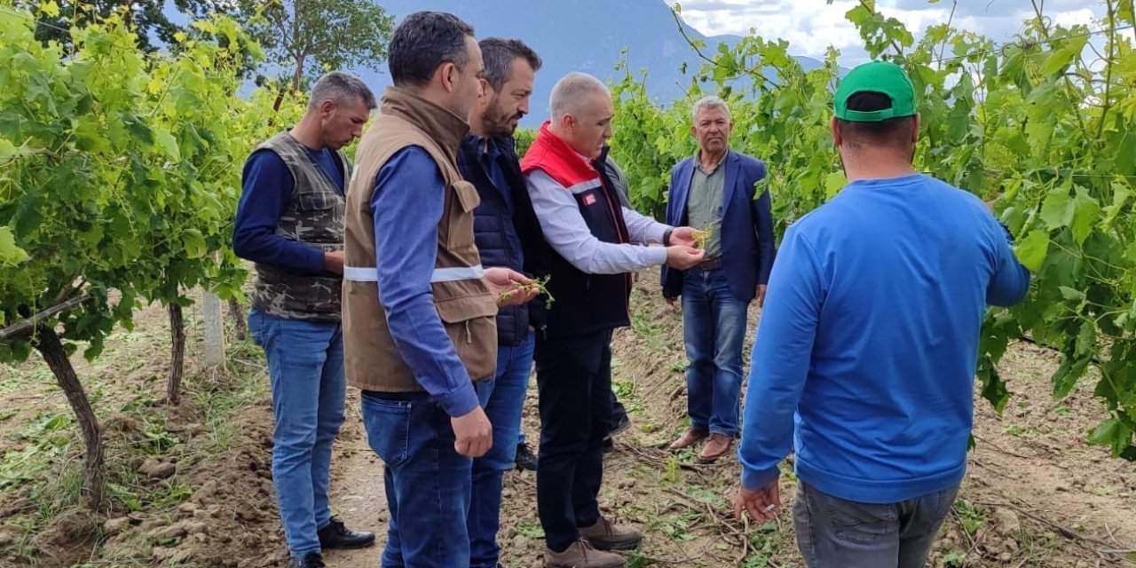 Doludan Zarar Gören Tarım Arazilerinde İnceleme