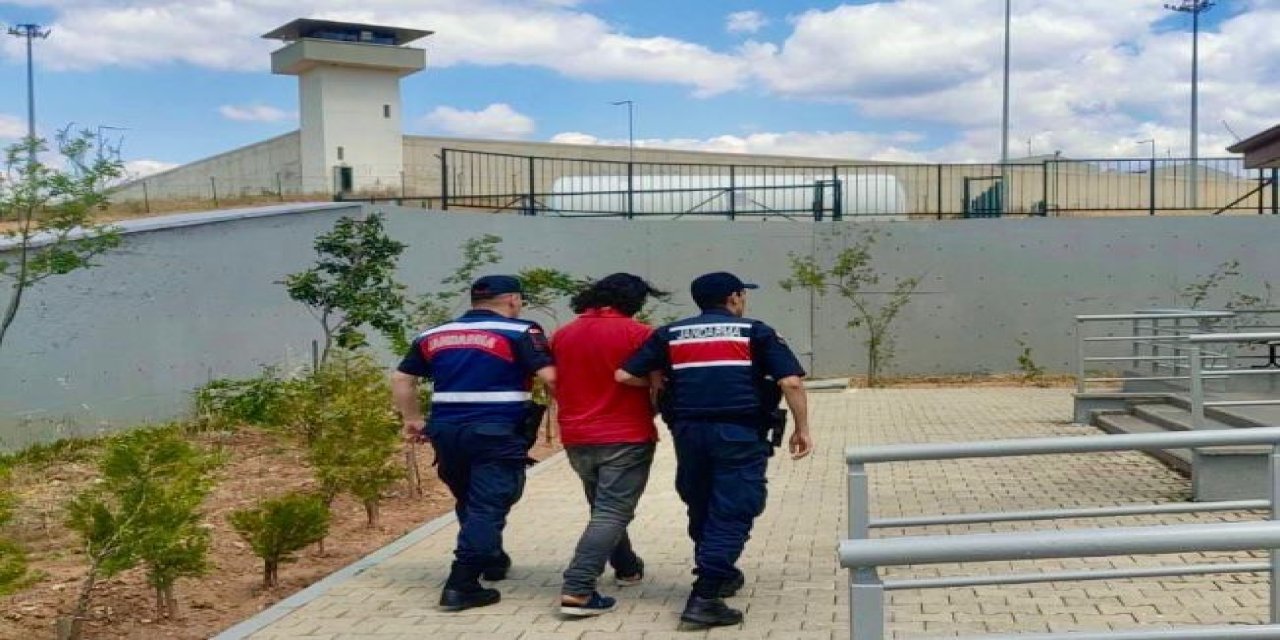 Jandarmadan Kaçak Kazı Baskını