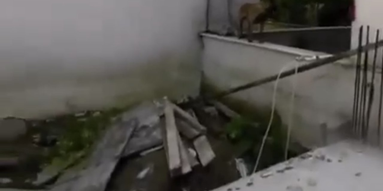 Bursa’da 3 Çocuğu Isıran Köpeklere Polisin Müdahalesi Kamerada