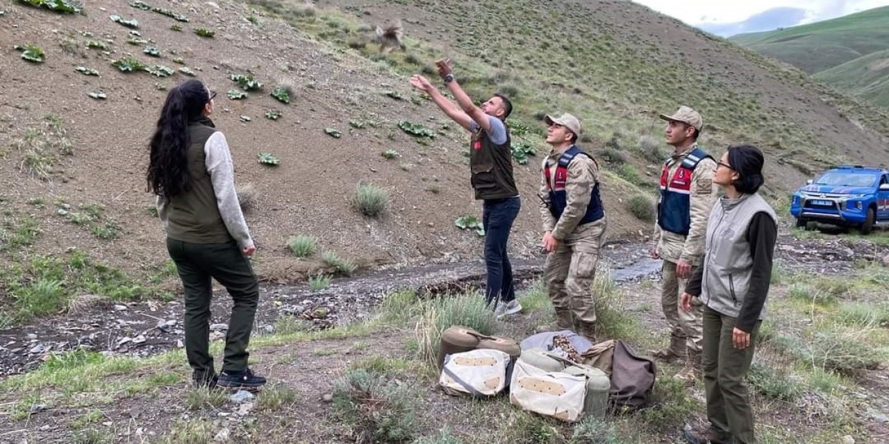 Bitlis’te Keklik Avlayan 2 Kişiye 50 Bin 824 Lira Para Cezası Uygulandı
