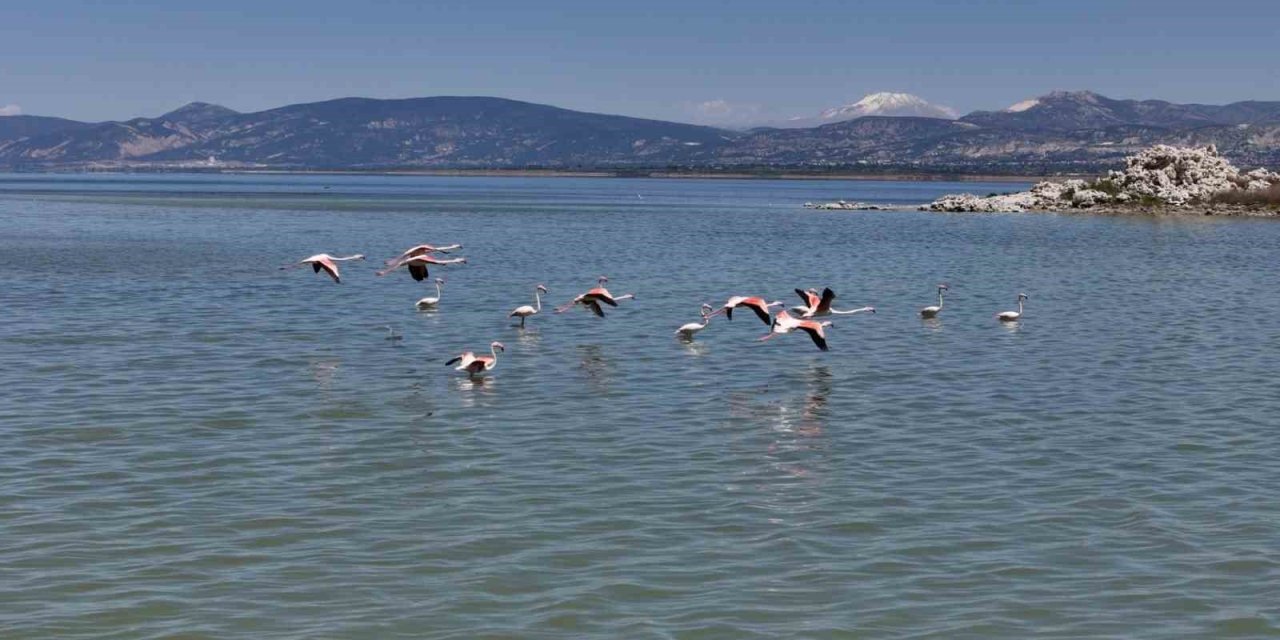 Burdur Gölü’nü Besleyen Yer Altı Su Kaynakları Su Kuşlarına Ev Sahipliği Yapıyor