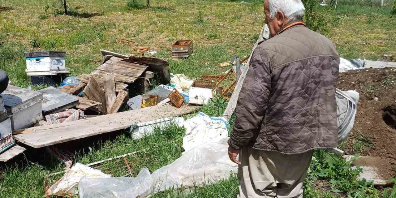 Köye İnen Ayı Arı Kovanlarını Parçaladı