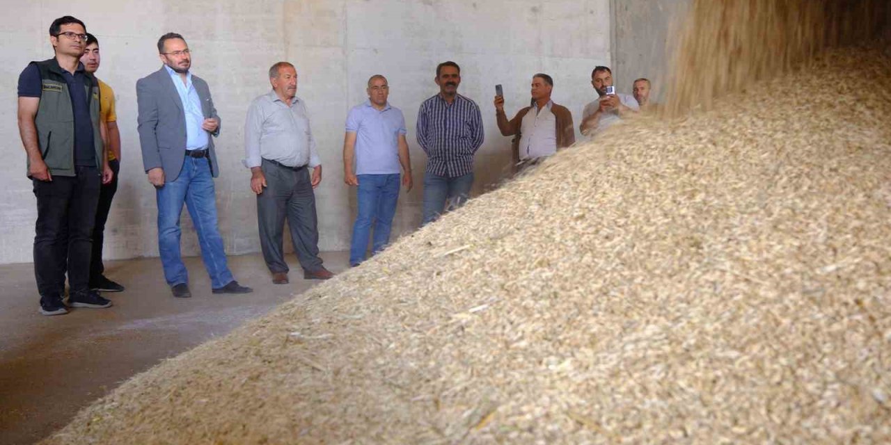 Mardin’de 2024 Sezonunun İlk Arpa Hasadı Yapıldı