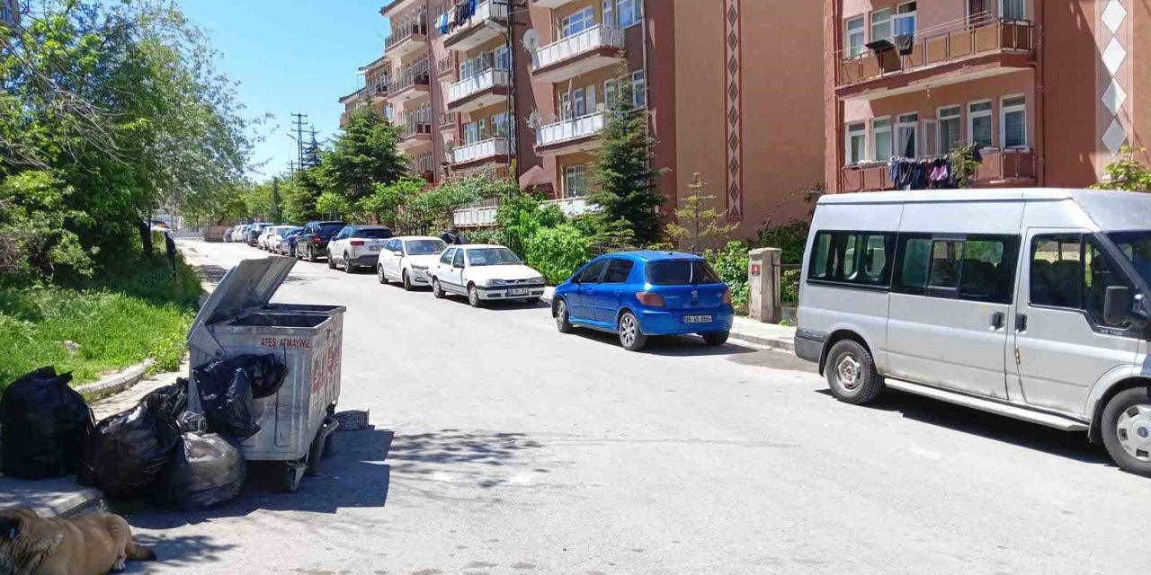 Ankara’da 15 Yaşındaki Çocuk Sırtından Bıçakladığı Ablasını Öldürdü