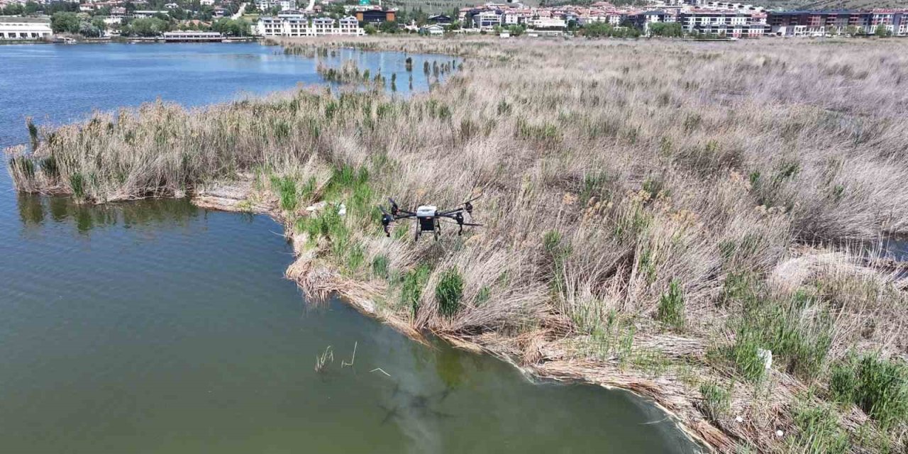 Gölbaşı Belediyesi’nin Vektörle Mücadelesi Sürüyor