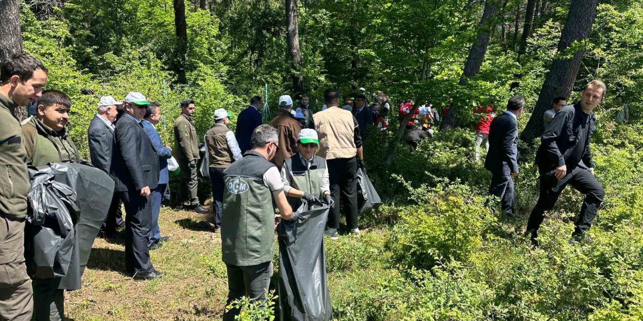 Sinop Protokolü Ormanları Temizledi