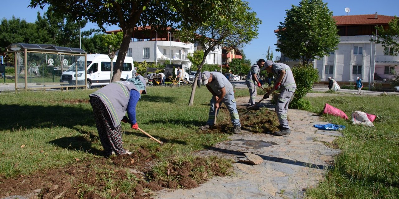 Pamukkale’de Bahar Bakımı Yapılıyor