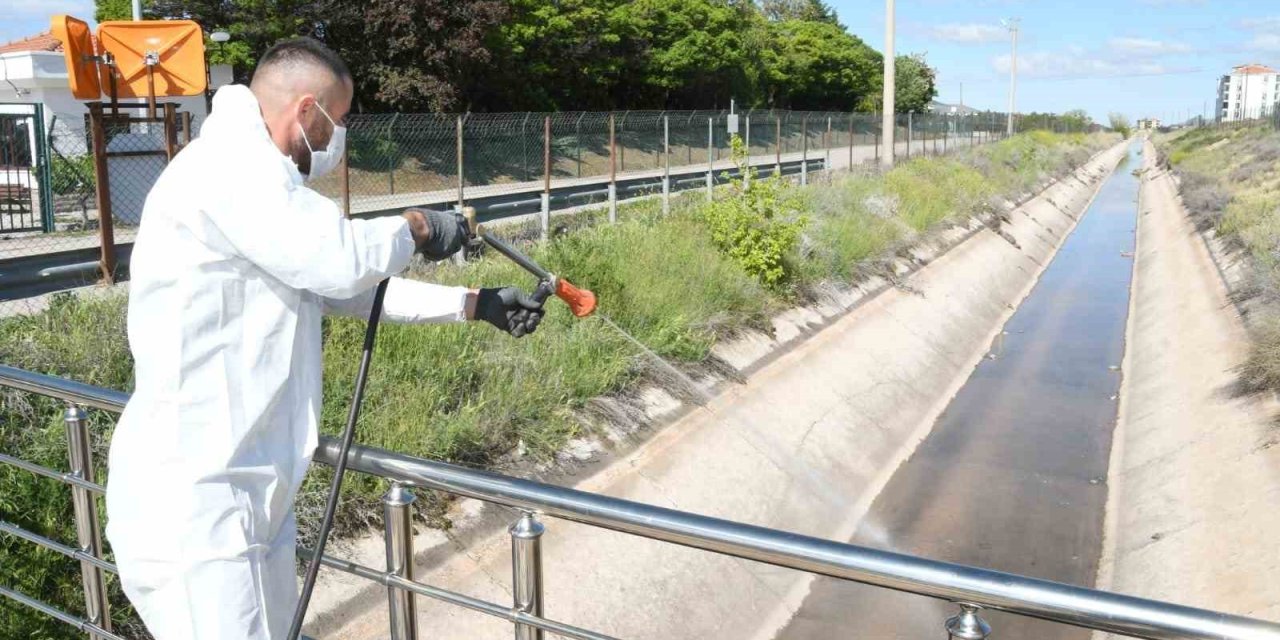 Aksaray Belediyesi Dere Ve Göletlerde Erken Larva Mücadelesi Başlattı