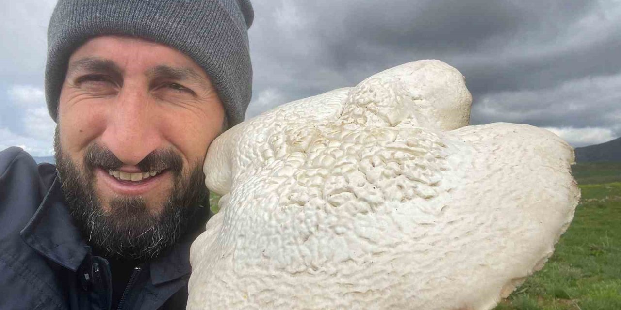 Solhan’da 2 Kilogramlık Mantar Bulundu