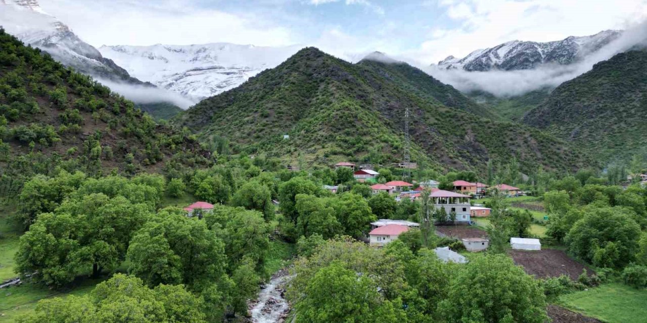 Şırnak Dağları Beyaza Büründü