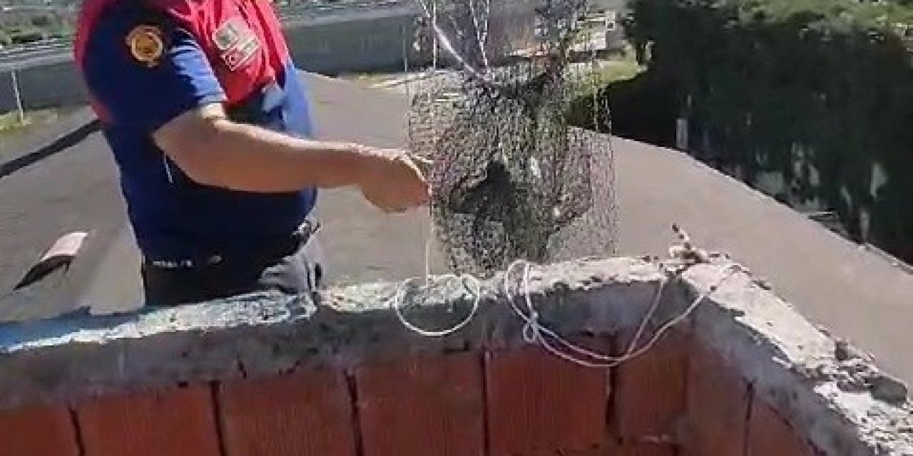 Havalandırmada Mahsur Kalan Yavru Güvercinler Kurtarıldı
