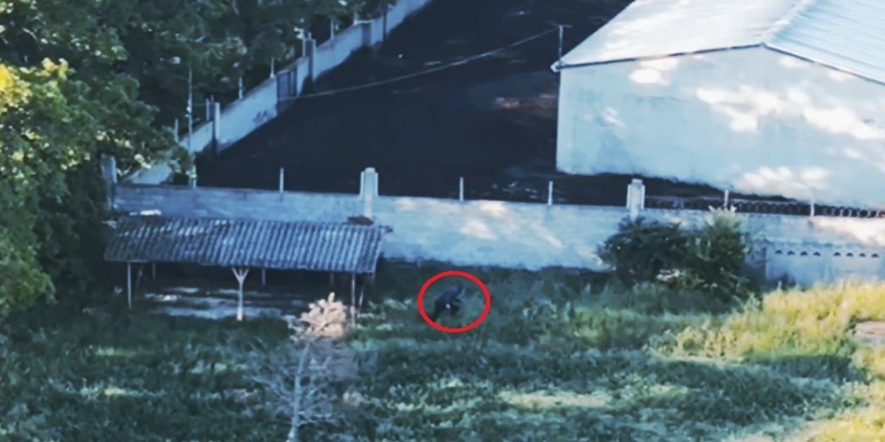 Otluk Alanda Saklanan Zanlı Dron Kamerasına Yakalandı