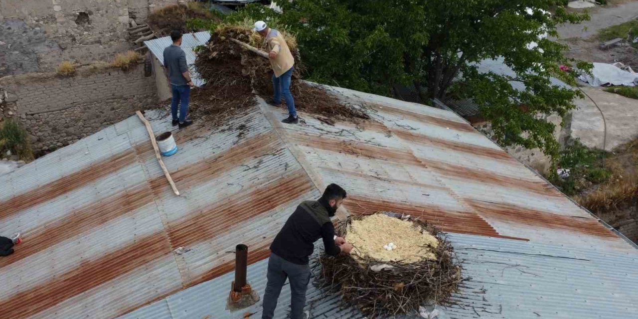 Tunceli’de Örnek Davranış: Hasarlı Binaların Çatılarındaki Leylek Yuvaları Güvenli Yere Taşındı