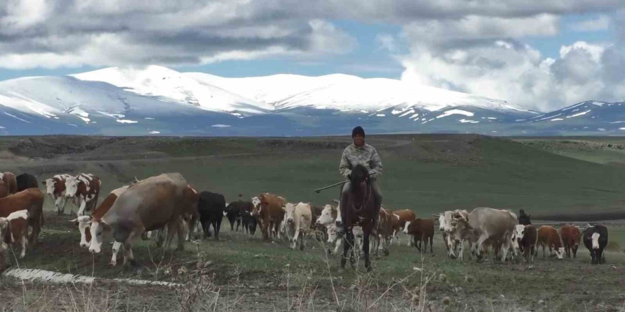 Kars’ta Dağların Zirvesi Mayısta Beyaza Büründü