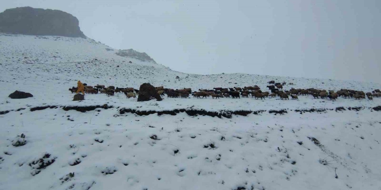 Kar Yağışına Yakalanan Koyun Sürüsü Ağıllara Geri Dönmek Zorunda Kaldı