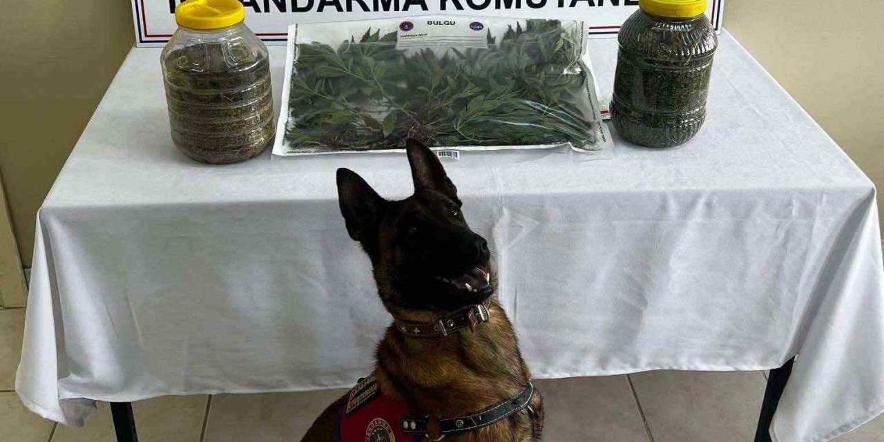 Karaman’da Uyuşturucu Operasyonu: 1 Tutuklama