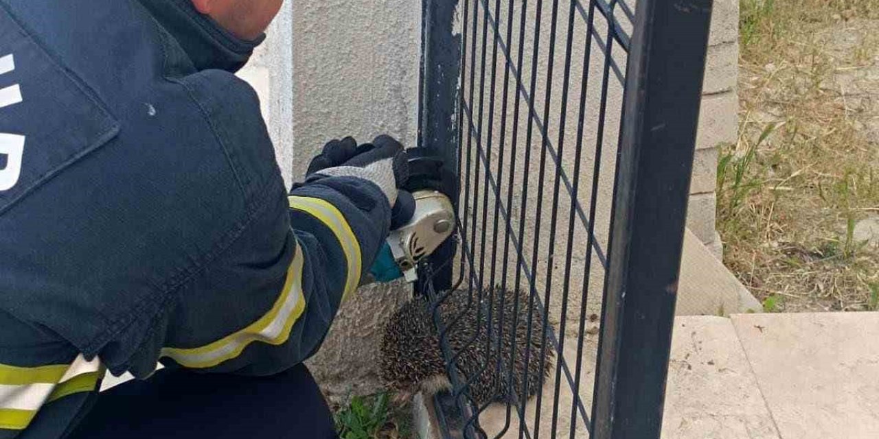 Bahçe Kapısına Sıkışan Kirpinin İmdadına İtfaiye Yetişti