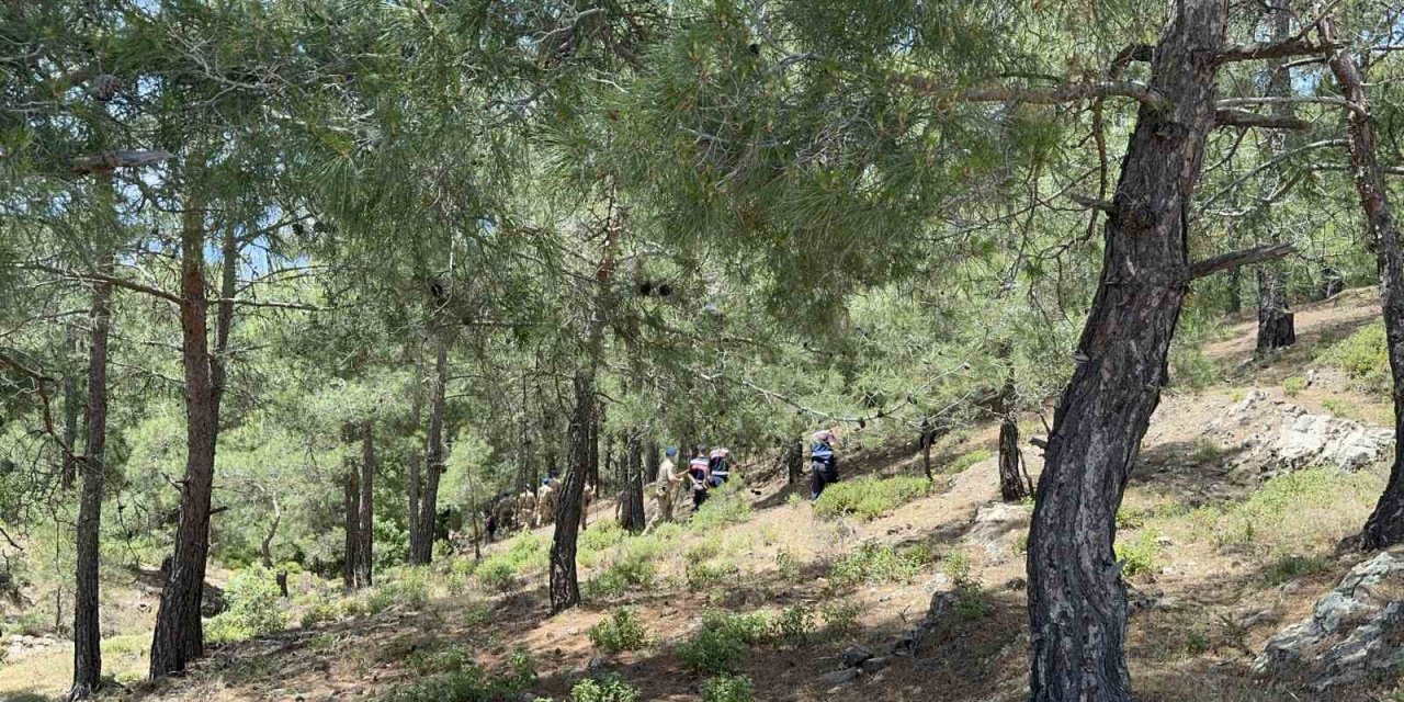 19 Gün Önce Kaybolan Fetullah Kaya İçin Komandolar Devrede