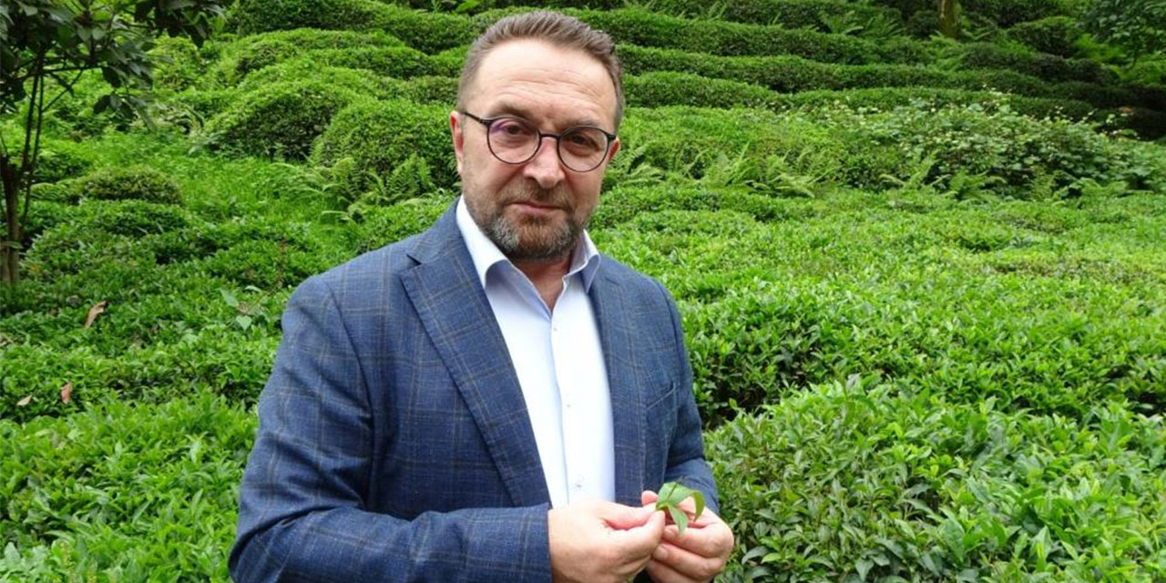Rize Çay Sektörü Alarm Veriyor