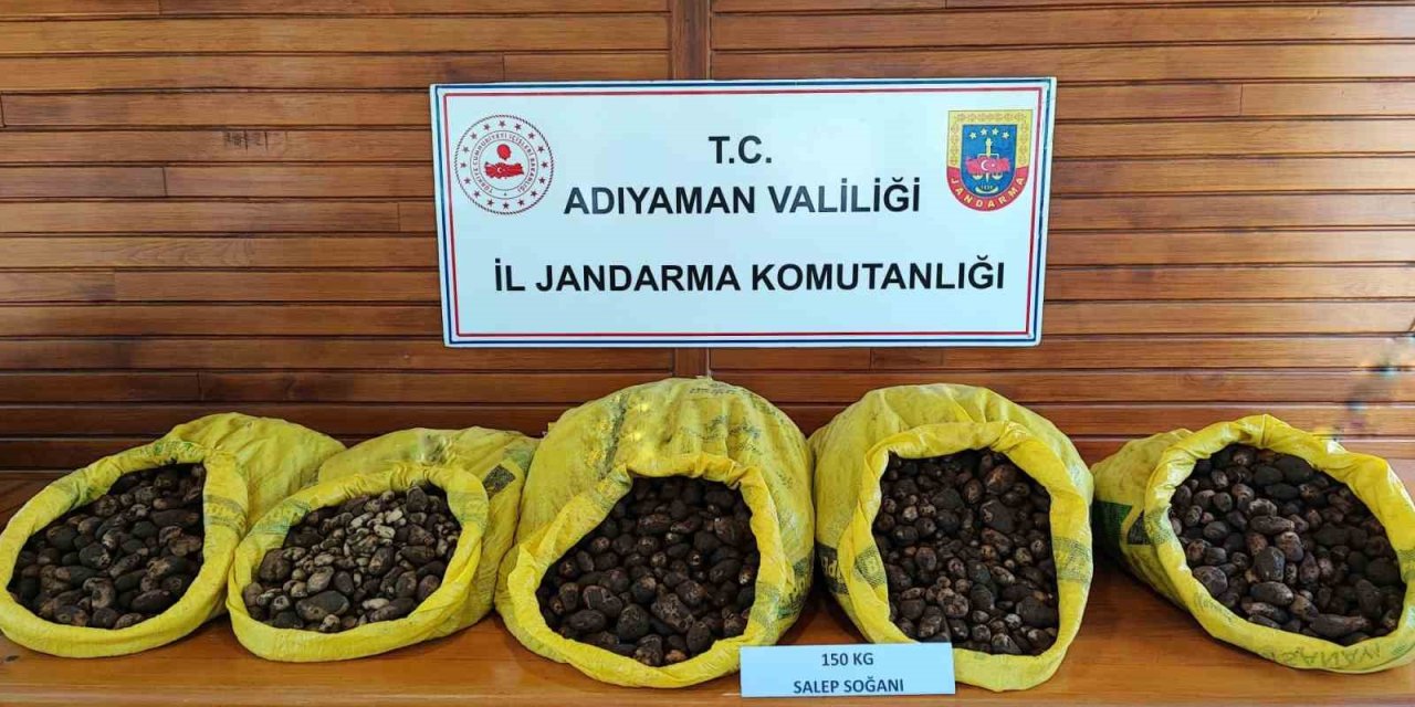 Doğadan Toplanması Yasak Olan Salep Soğanını İzinsiz Toplayan 5 Şahıs Suçüstü Yakalandı