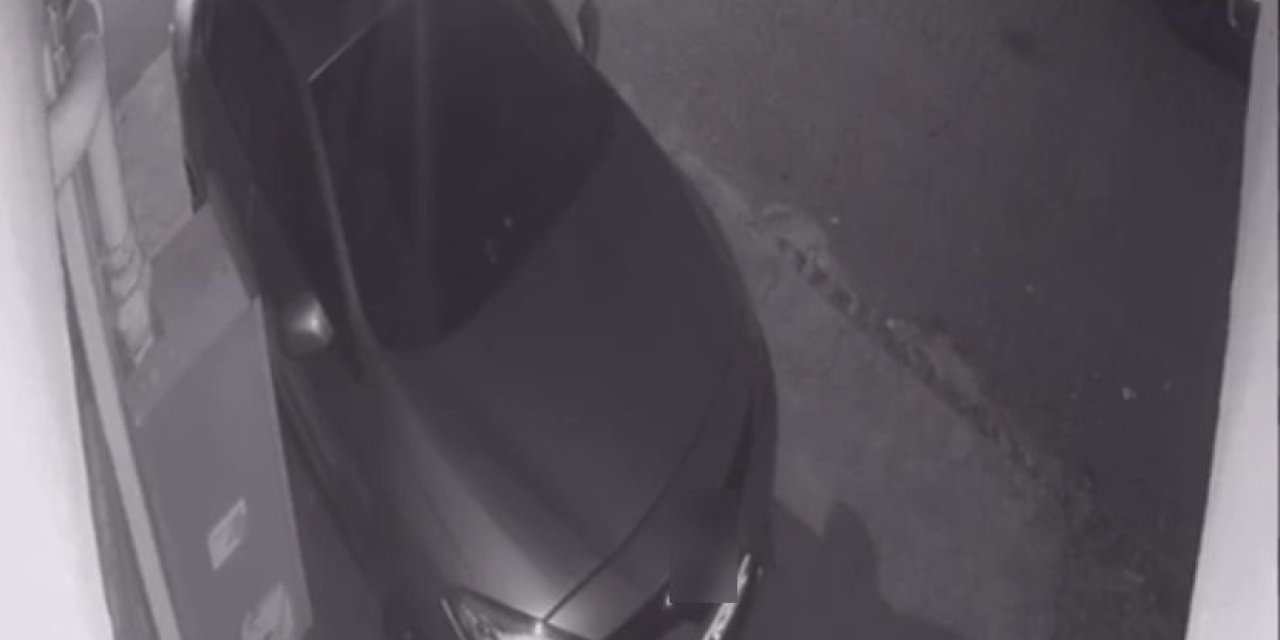 Ataşehir’de Köpeği Ezerek Sürükleyen Sürücü Kamerada