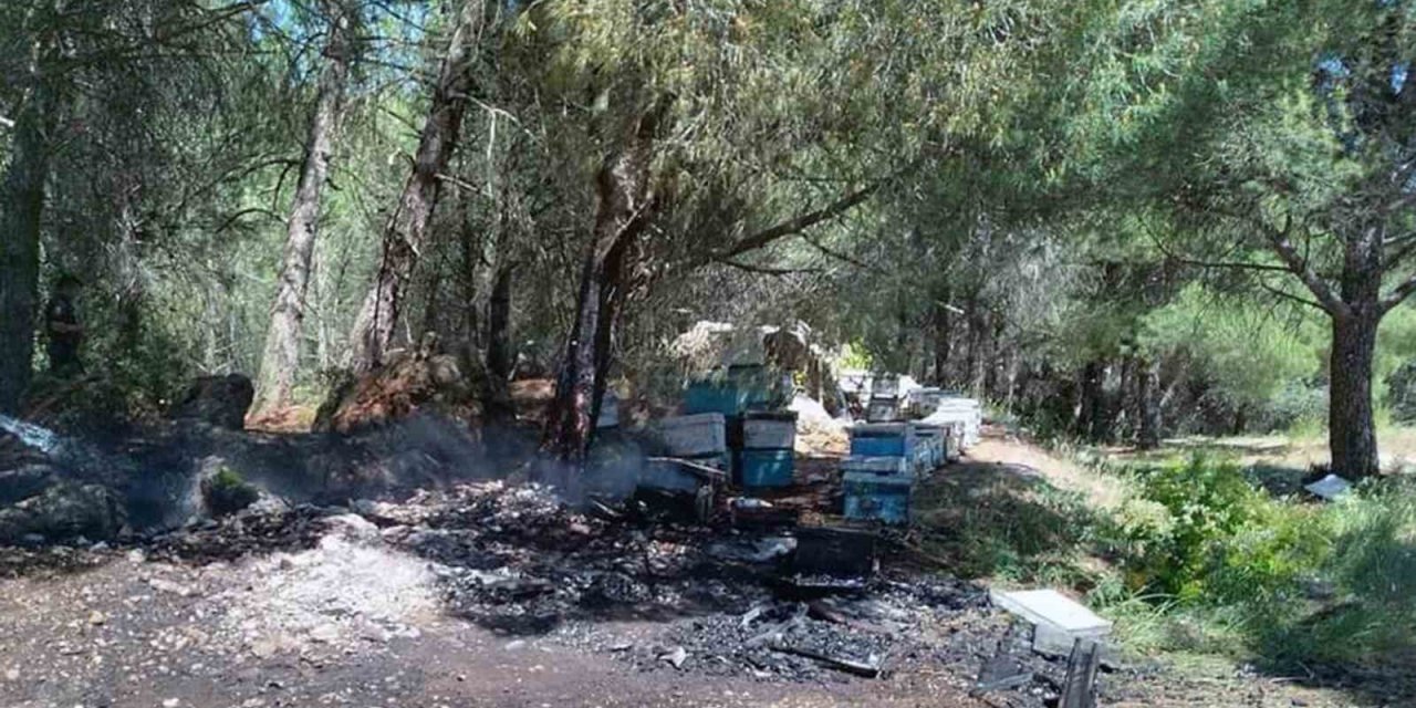 Arı Kovanları Yandı