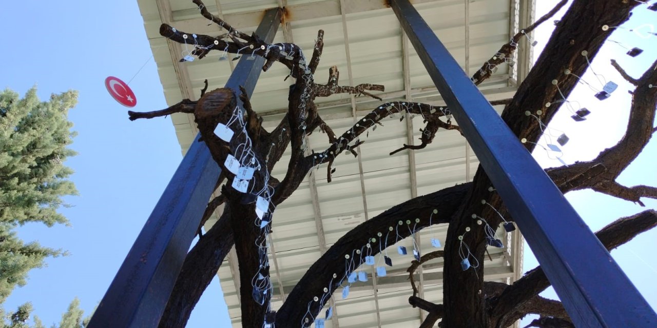 Kırşehir’de Şehitler Ağacı’ndaki Künye Sayıları Arttırıldı