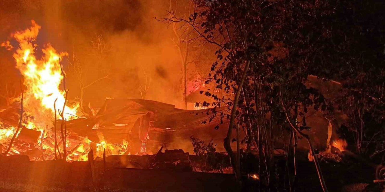 Sobadan Çıkan Yangın İki Evi Küle Çevirdi