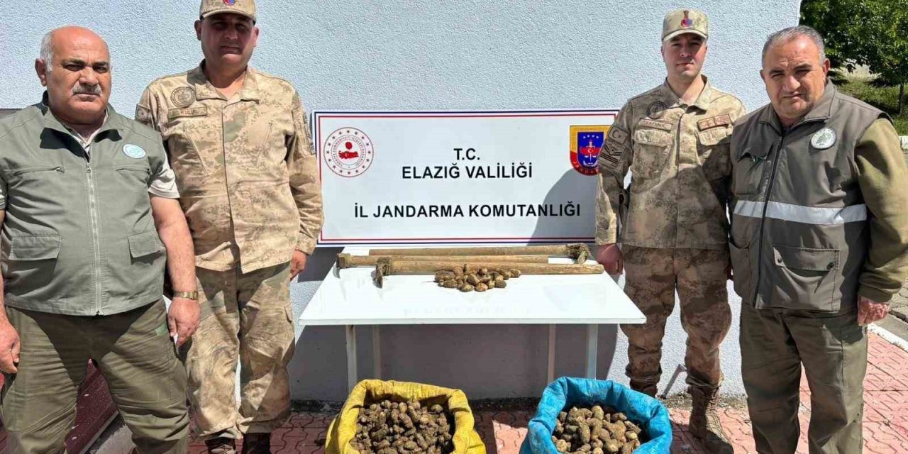 Elazığ’da Salep Bitkisi Toplayan 4 Kişiye İdari Para Cezası Uygulandı