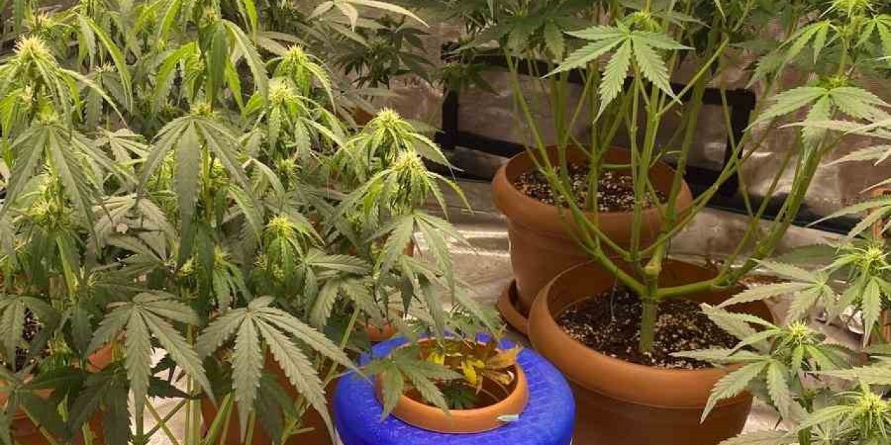 Evini Uyuşturucu İmalathanesine Çeviren Şüpheli Yakalandı