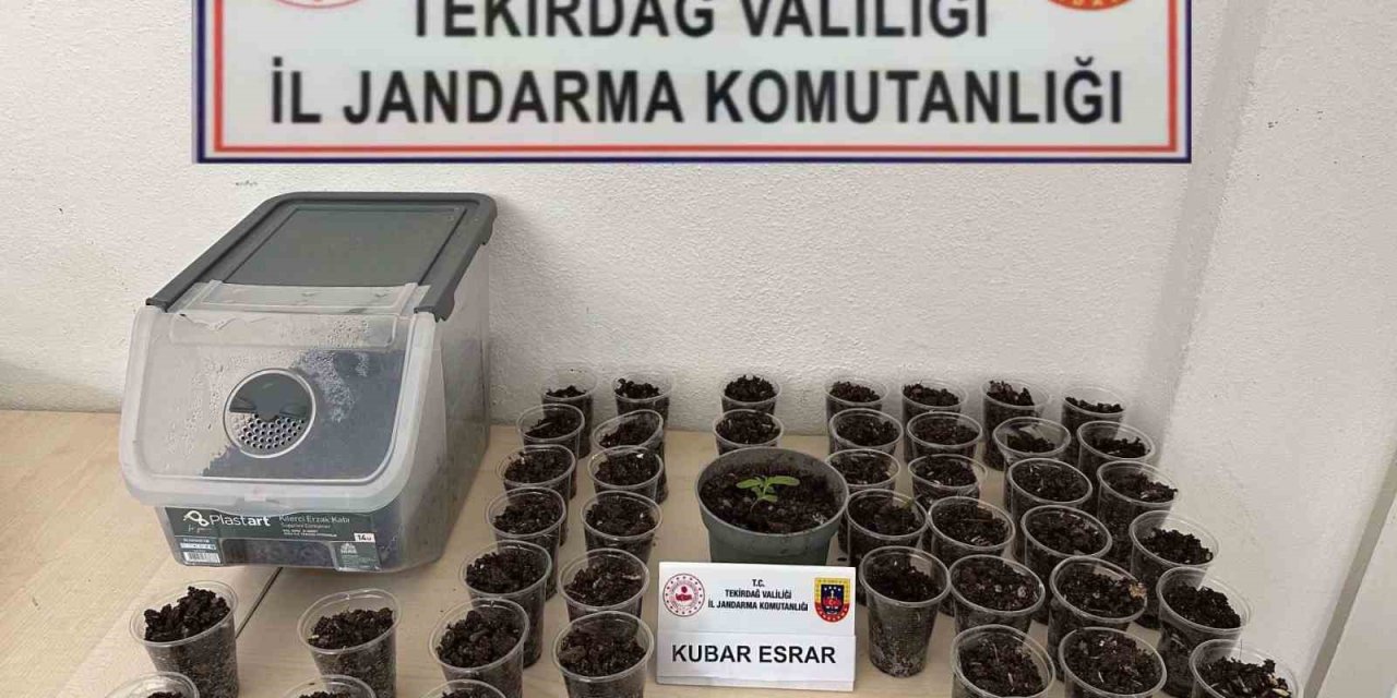 Tekirdağ’da Uyuşturucu, Silah Ve Tütün Operasyonu