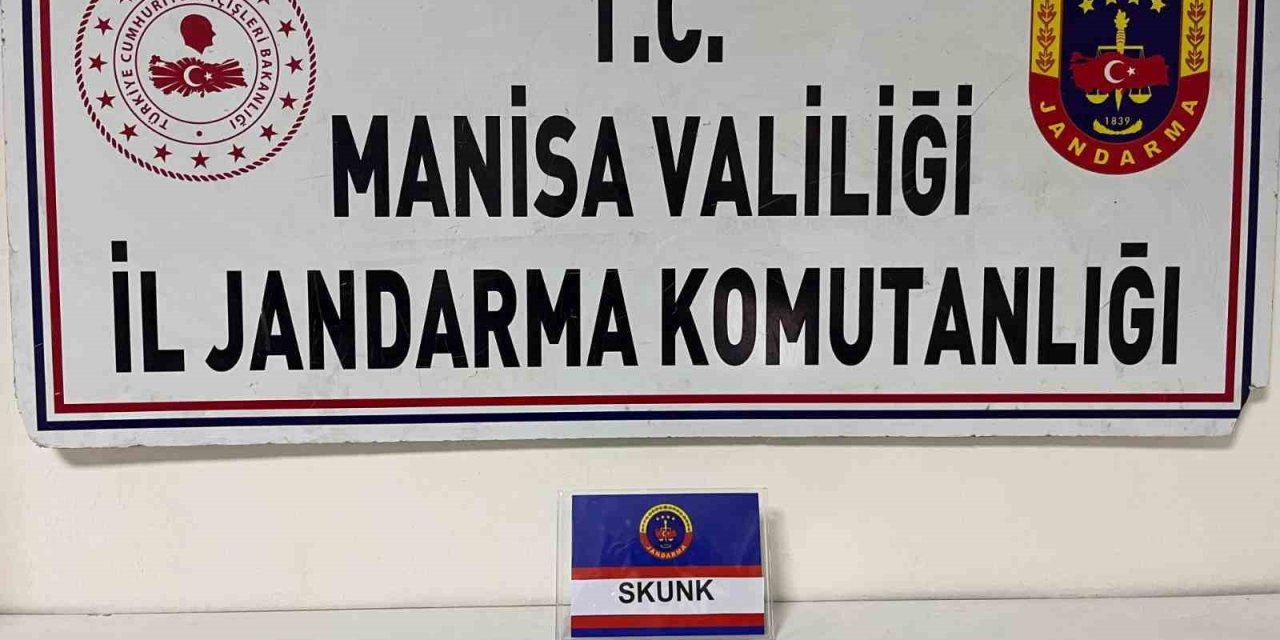 Salihli’de Şüpheliden Skunk Ele Geçirildi