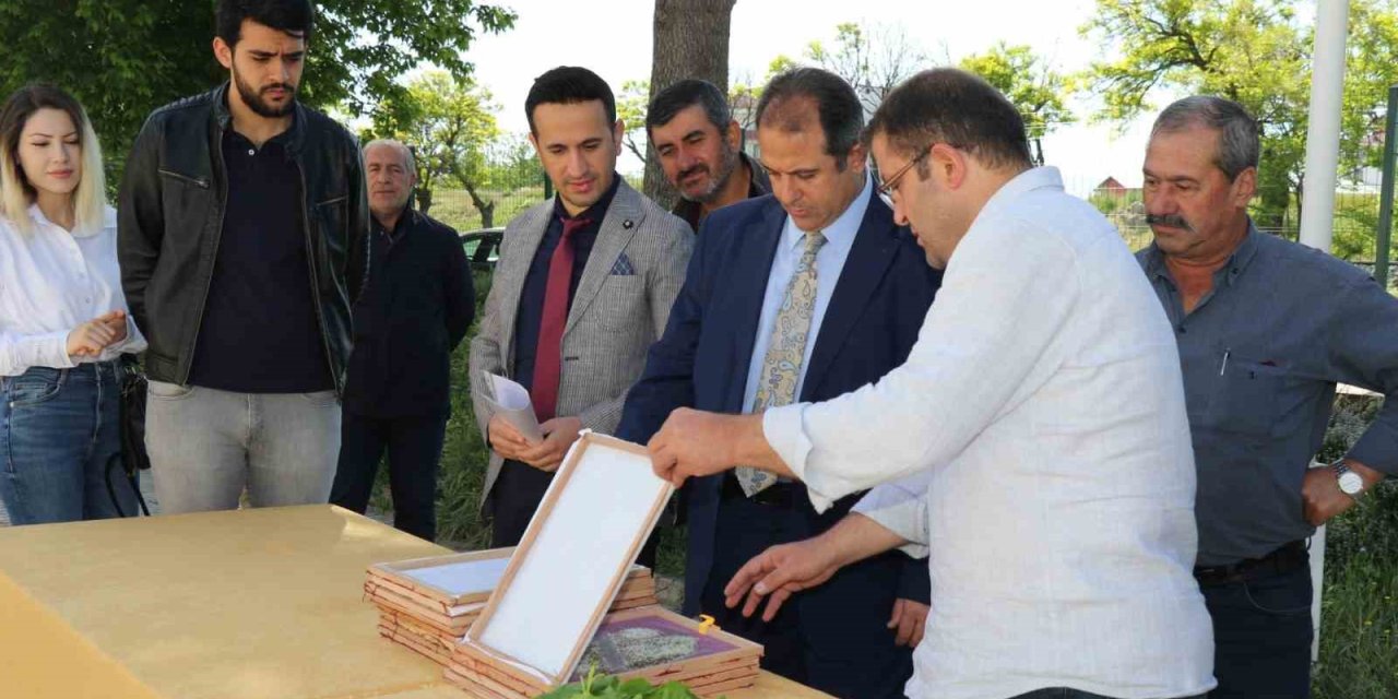 Elazığ’da Üreticilere İpek Böceği Larvası Dağıtıldı