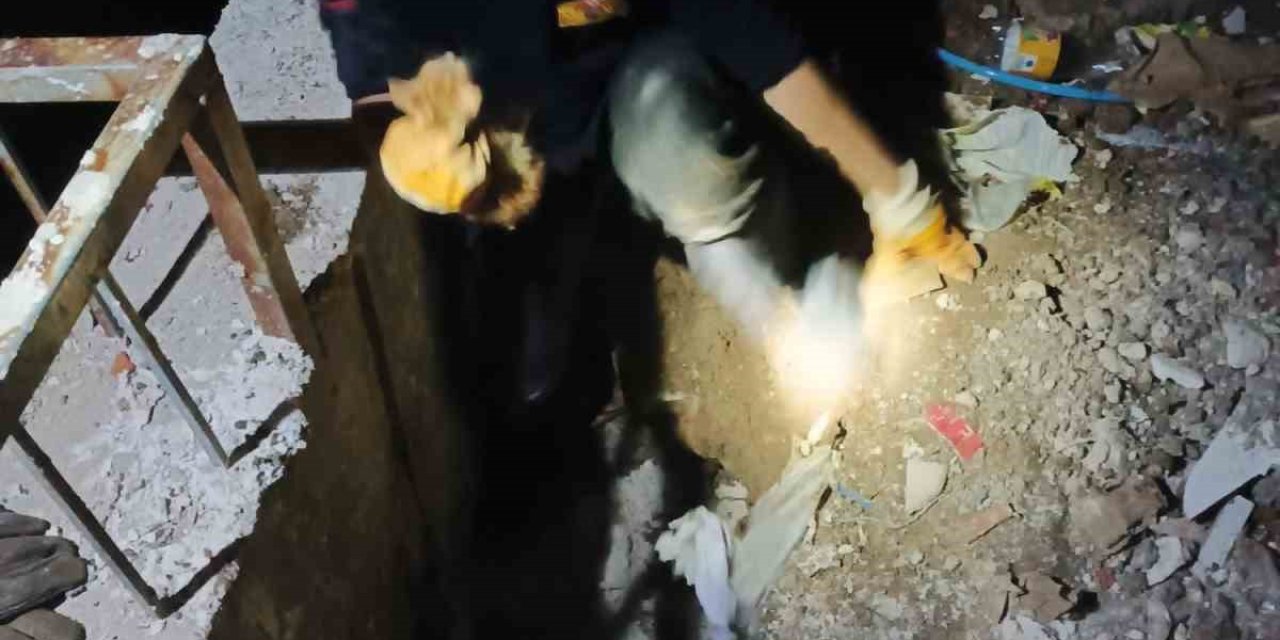 İstinat Duvarı Arasına Sıkışan Kedi 2 Saatlik Çalışmayla Kurtarıldı