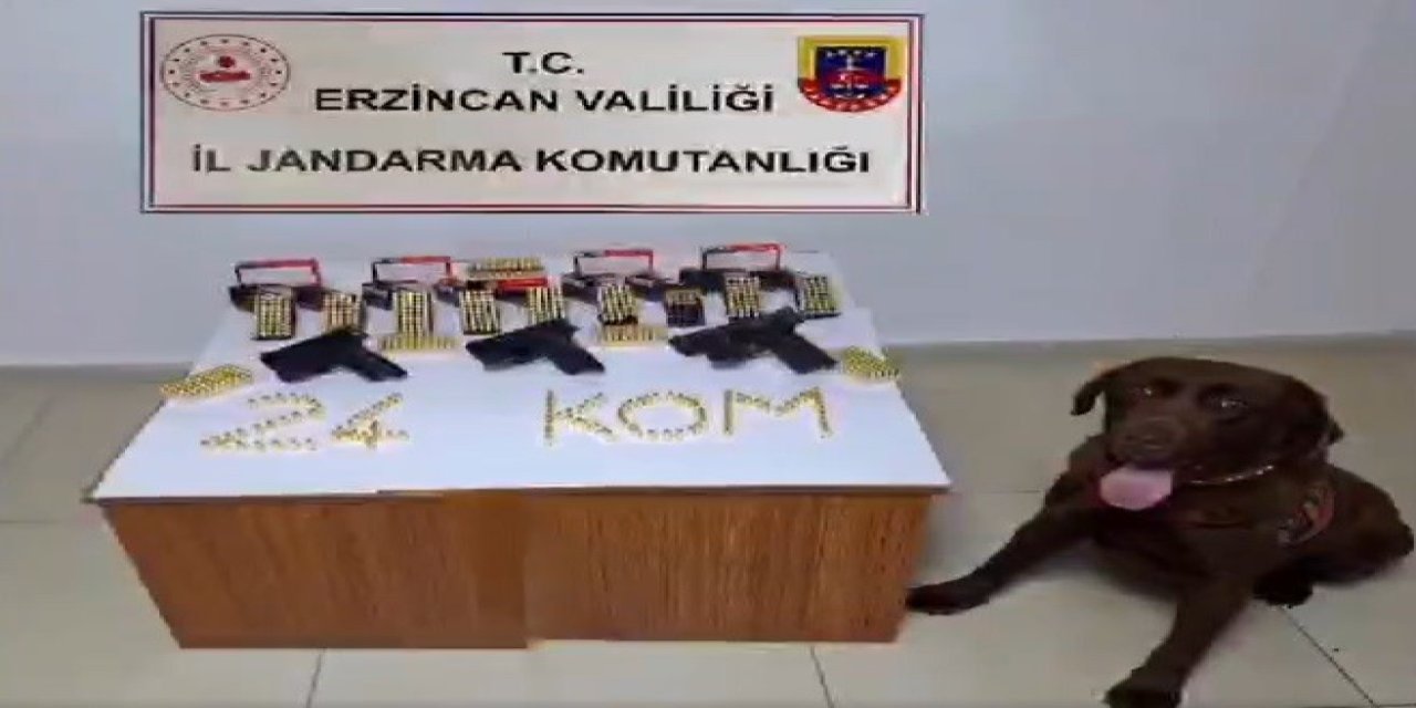 Erzincan’da Silah Kaçakçısı 1 Kişi Yakalandı