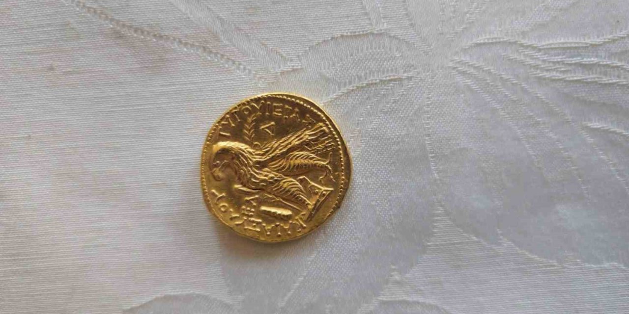 Hatay’da Çok Sayıda Sikke Ve Mühür Ele Geçirildi