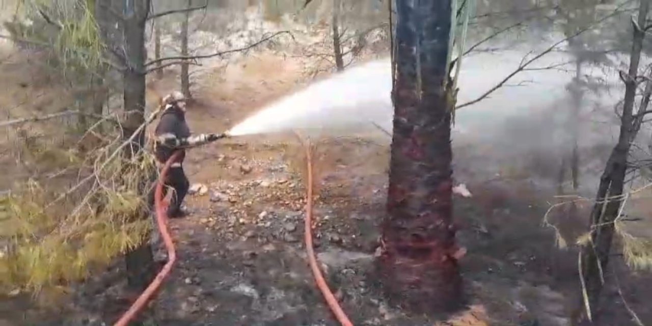 Şanlıurfa’da Ormanlık Alanda Çıkan Yangın Söndürüldü