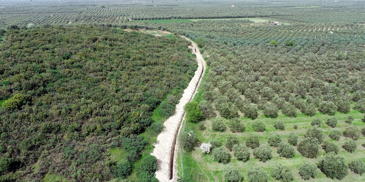 Manisalı Çiftçiye Çamönü Müjdesi