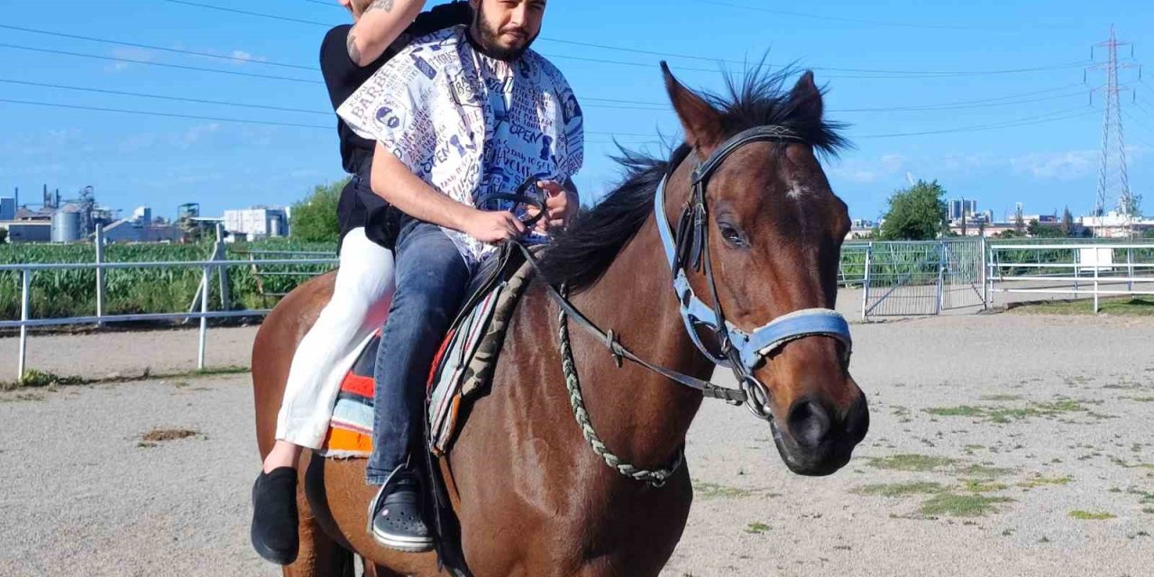 At Üzerinde Tıraş