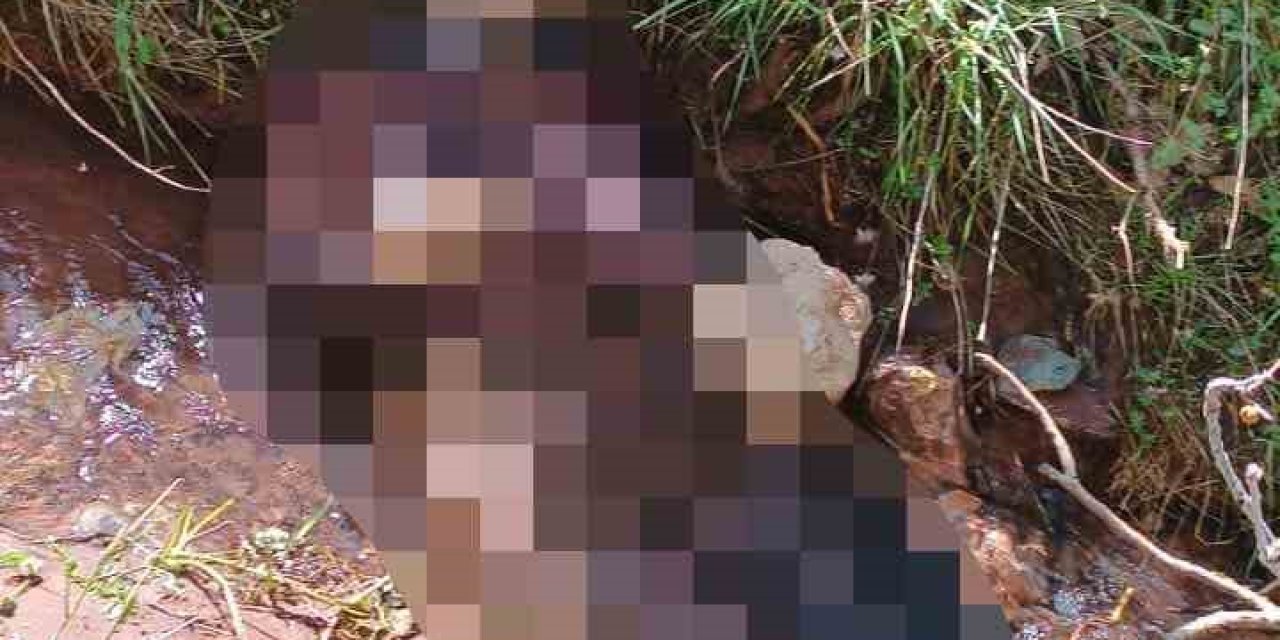 Kayıp Vatandaşın Cansız Bedeni Bulundu