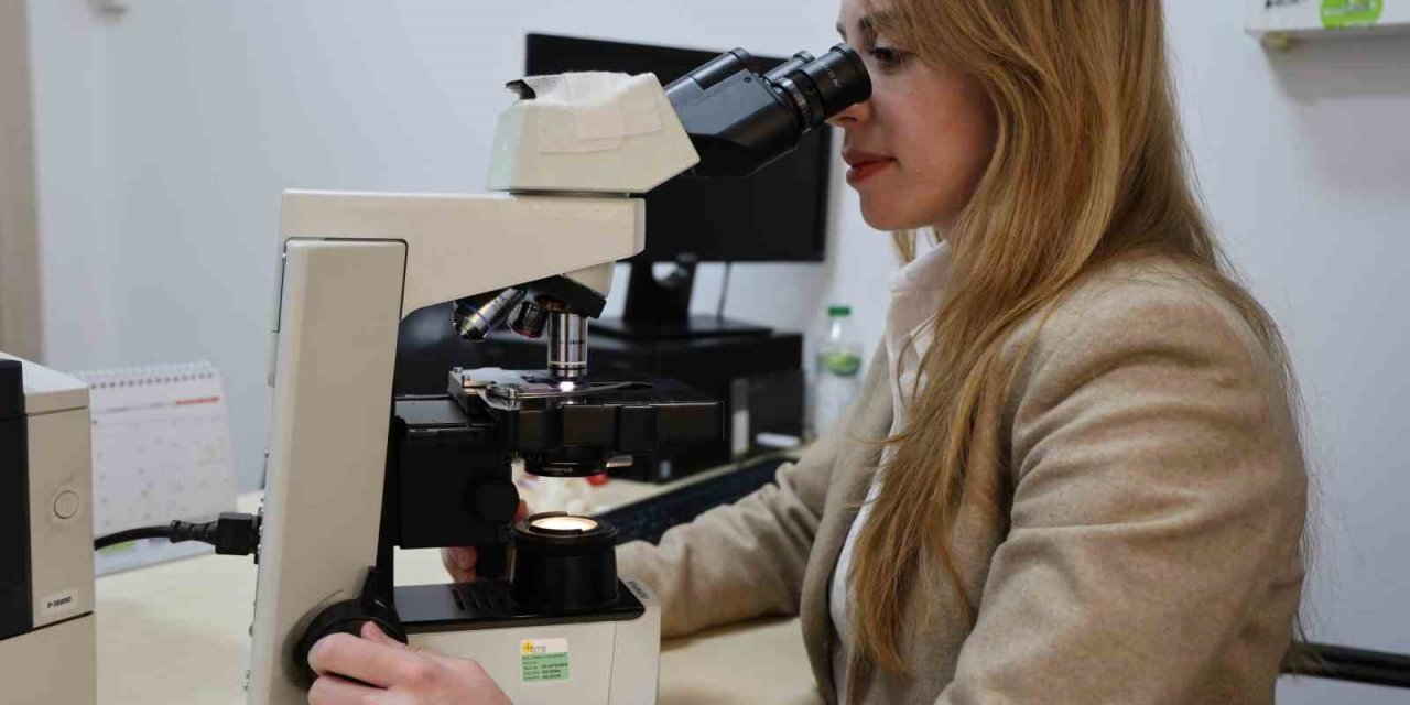 Akdeniz Anemisi Anne Ve Babada Taşıyıcılık Varsa Çocukta 4’te 1 İhtimalle  Oluyor