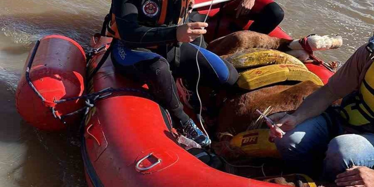 Brezilya’daki Sel Felaketinde Ölü Sayısı 113’e Yükseldi