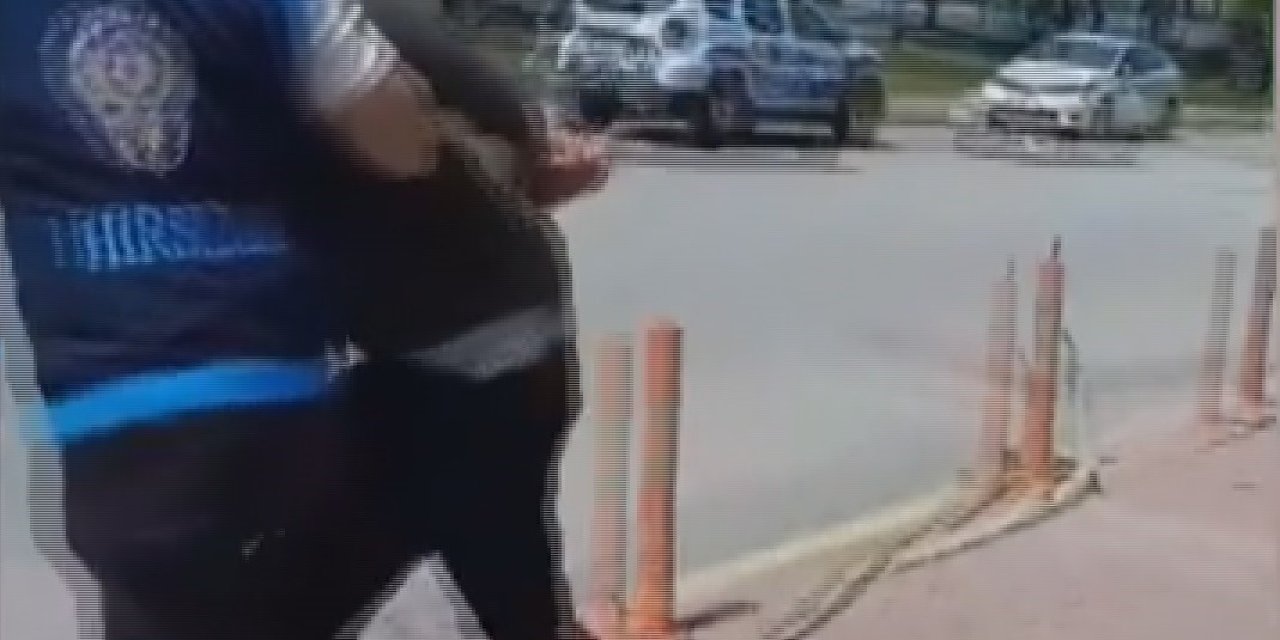 Ev Fareleri 81 Saatlik Kamera Kaydı İle Yakalandı