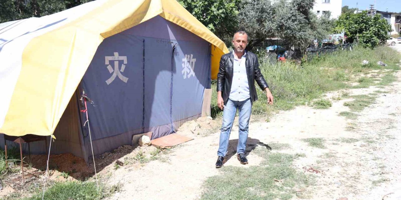 ‘Benden Korkmuyorlar, Alıştılar”  Diyen Vatandaş, Aç Kalan Domuzları Köpek Maması Ve Yemek Artıklarıyla Besliyor