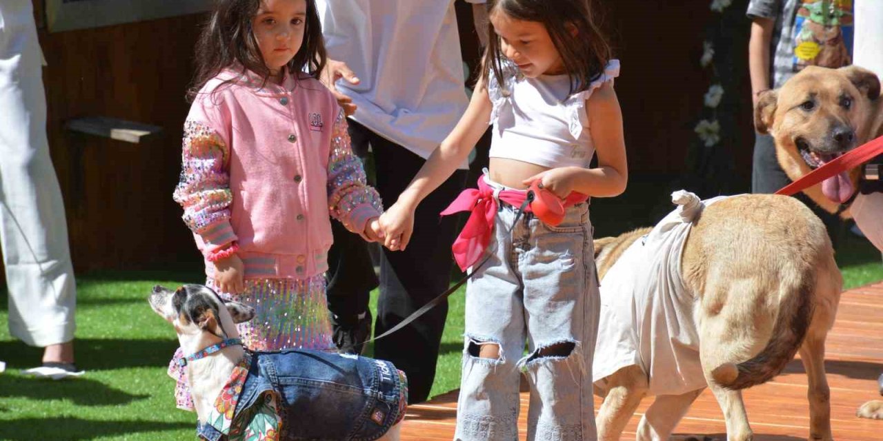 Engelli Hayvanların Defilesinden Renkli Sahneler