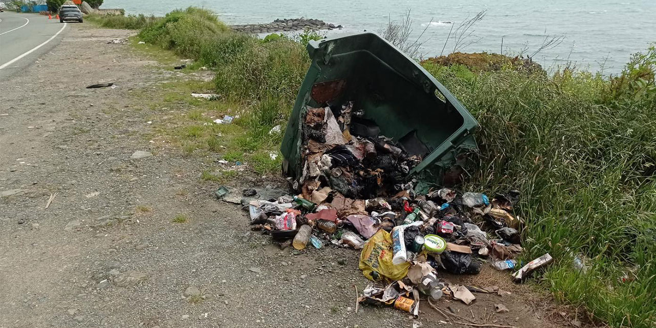 Çayeli Belediyesi: "Vandallar Çöp Kutularını Yakmış"