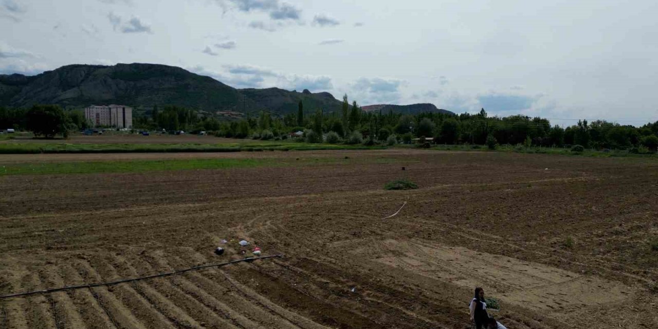 Tokat’ta Tarım Arazisi Üzerine Yapılmak İstenen Şehir Hastanesine Tepki