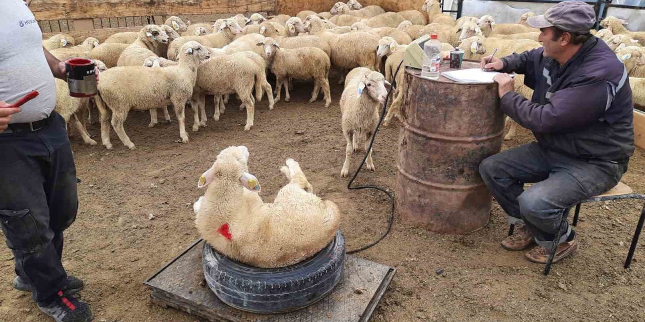 Halk Elinde Islah 18. Yılında