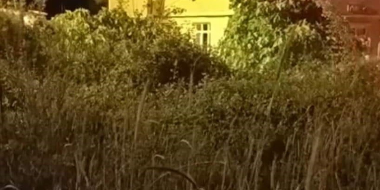 Alaplı’da 2 Binanın Çatı Katı Alev Alev Yandı