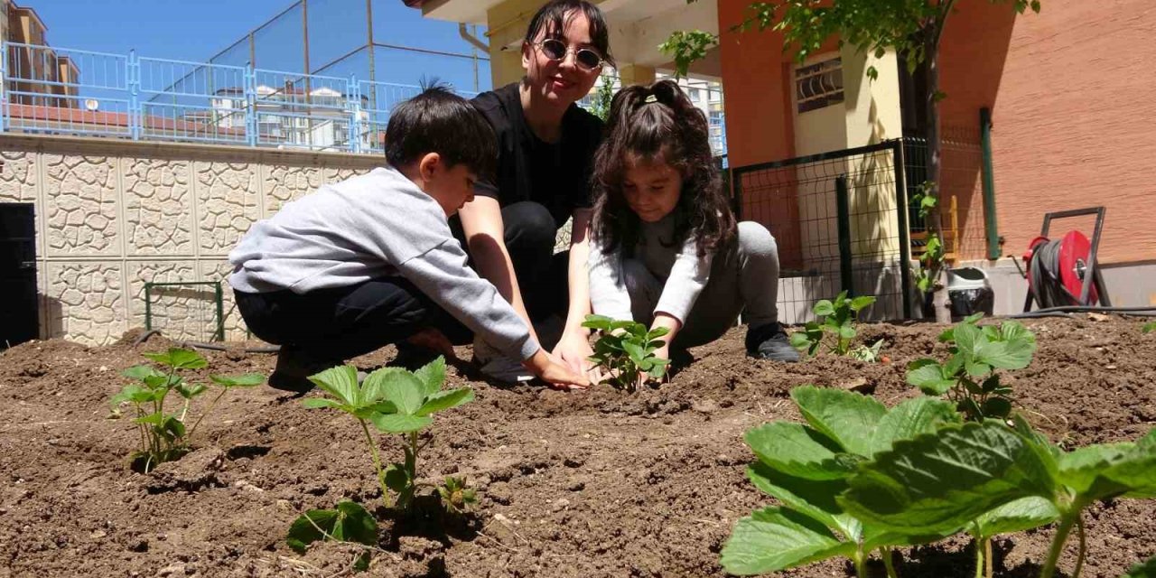 Okul Bahçesine Öğrencileri İçin Tarım Alanı Oluşturdu